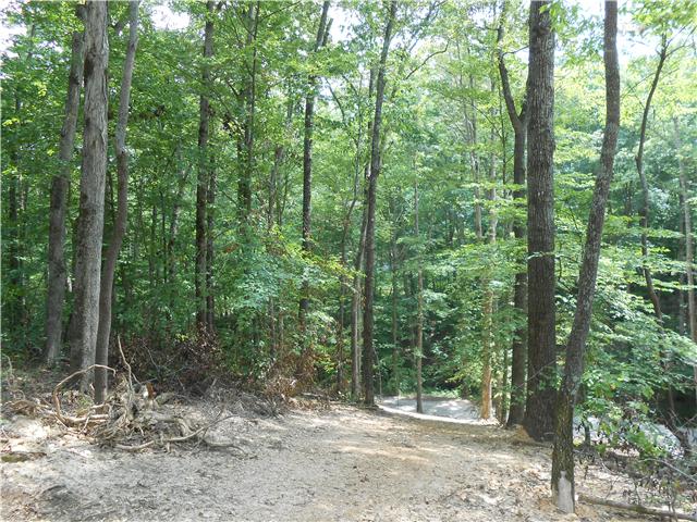 7742 Caney Fork Road Fairview, TN 37062 - Photo 8 of 17