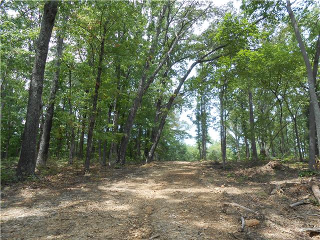 7742 Caney Fork Road Fairview, TN 37062 - Photo 10 of 17