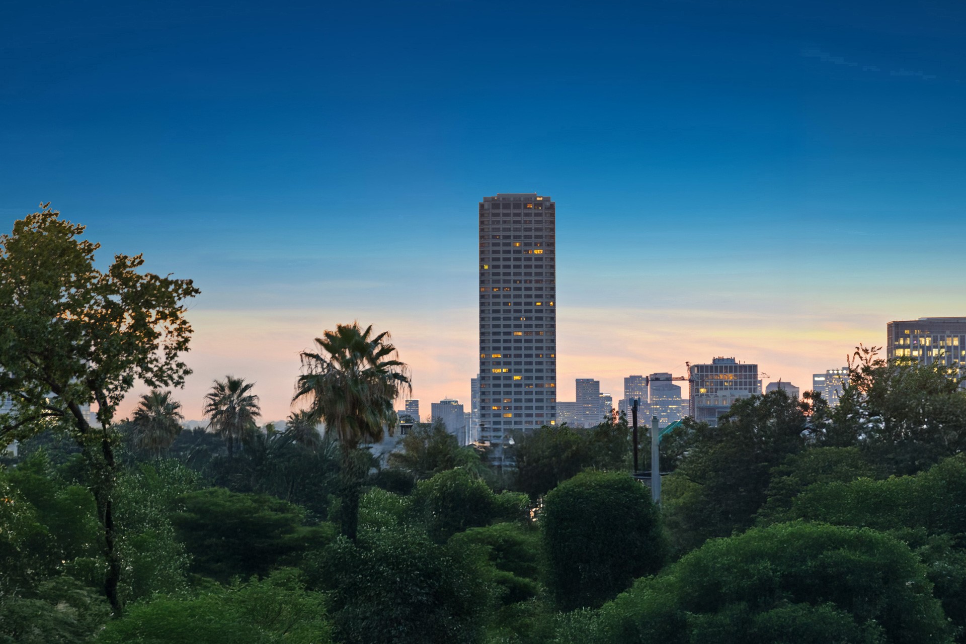 1728 Michigan Street, Unit A Houston, TX 77006 - Photo 30 of 38