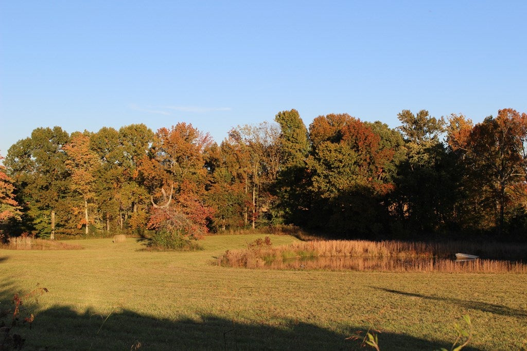 1233 Apple Grove Road Summer Shade, KY 42166 - Photo 8 of 18 Gallery Image 8