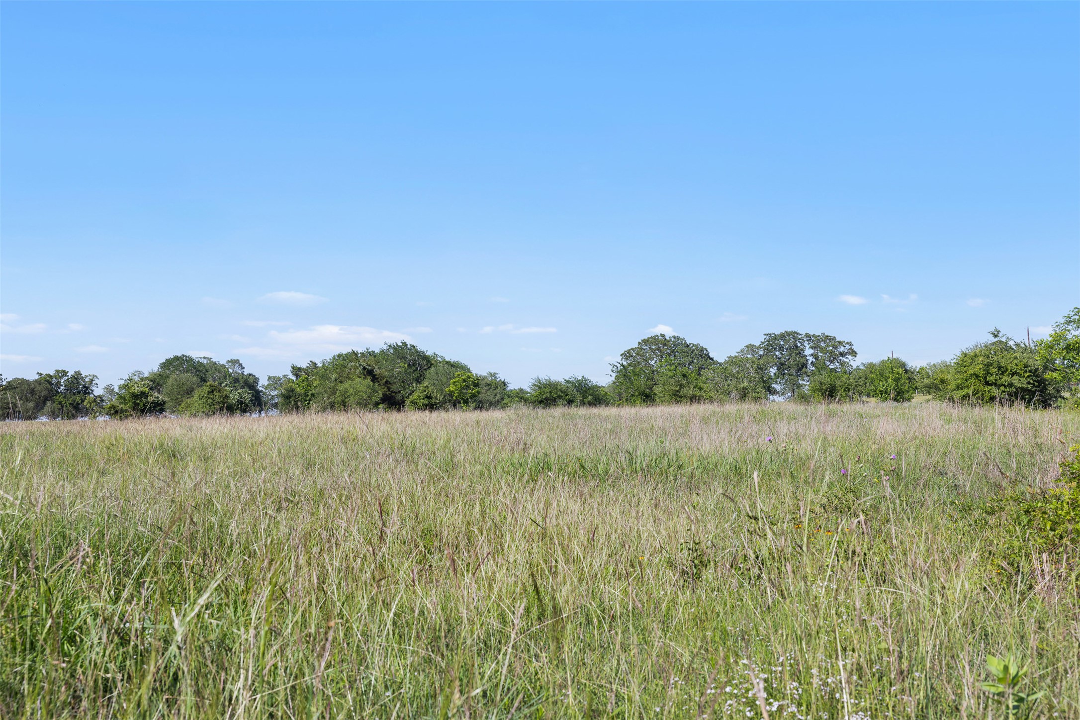 1310 North Nassau Road Round Top, TX 78954 - Photo 17 of 24