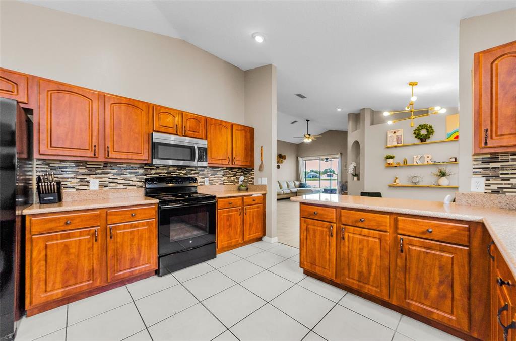 13561 Fladgate Mark Drive Riverview, FL 33579 - Photo 16 of 65 a kitchen with stainless steel appliances granite countertop a stove sink and cabinets