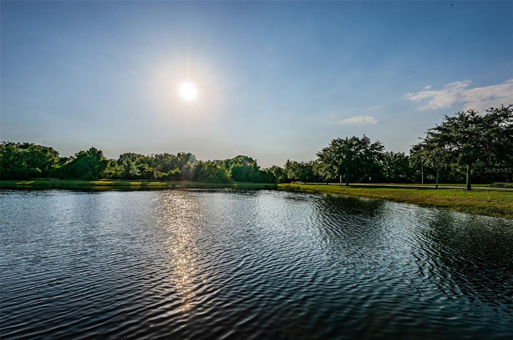 13561 Fladgate Mark Drive Riverview, FL 33579 - Photo 36 of 65