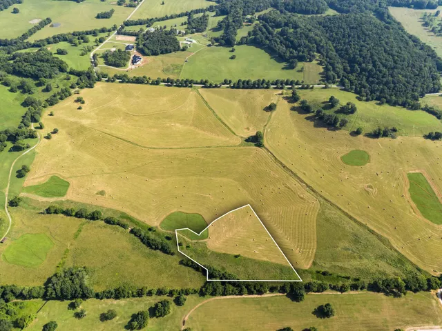 a view of a lake with a mountain