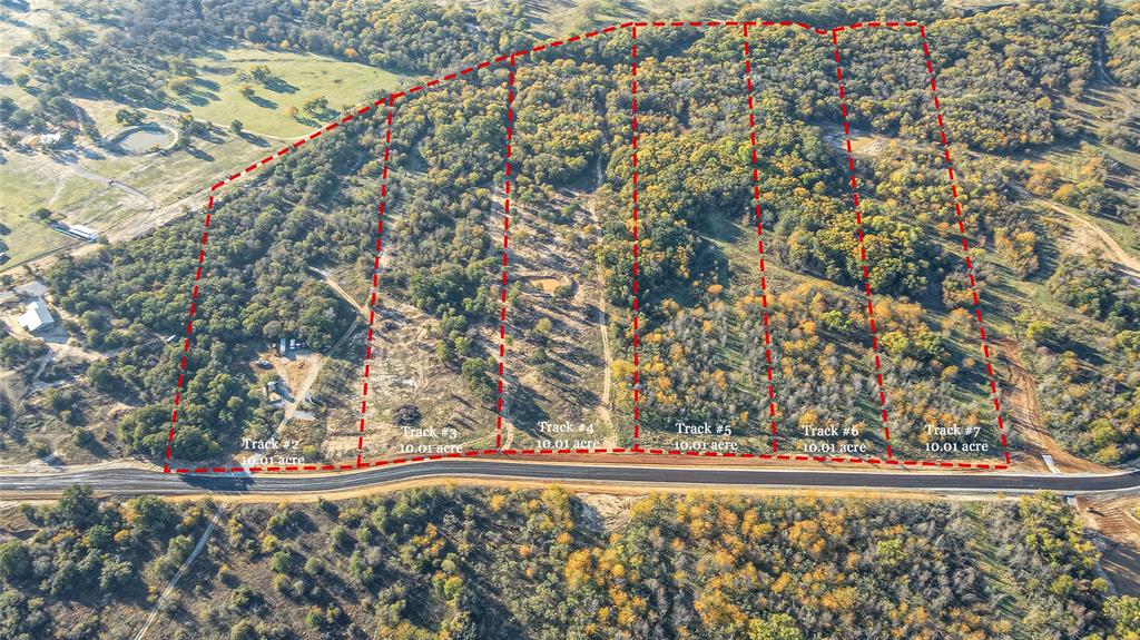 a view of a plant from a window