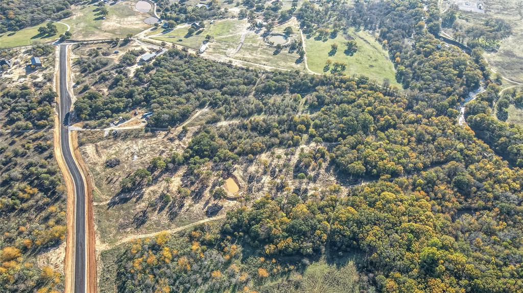 135 Flatwood Road Decatur, TX 76234 - Photo 8 of 8 a close up of a tree in a yard