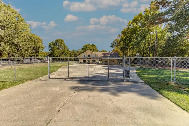 a view of a backyard with a garden and plants