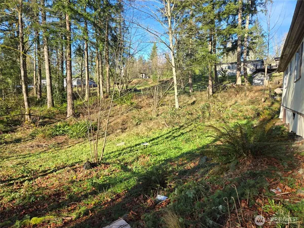 a view of a backyard of the house