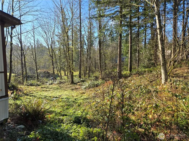 a view of small yard with large trees
