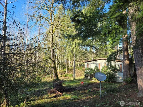 a view of a backyard