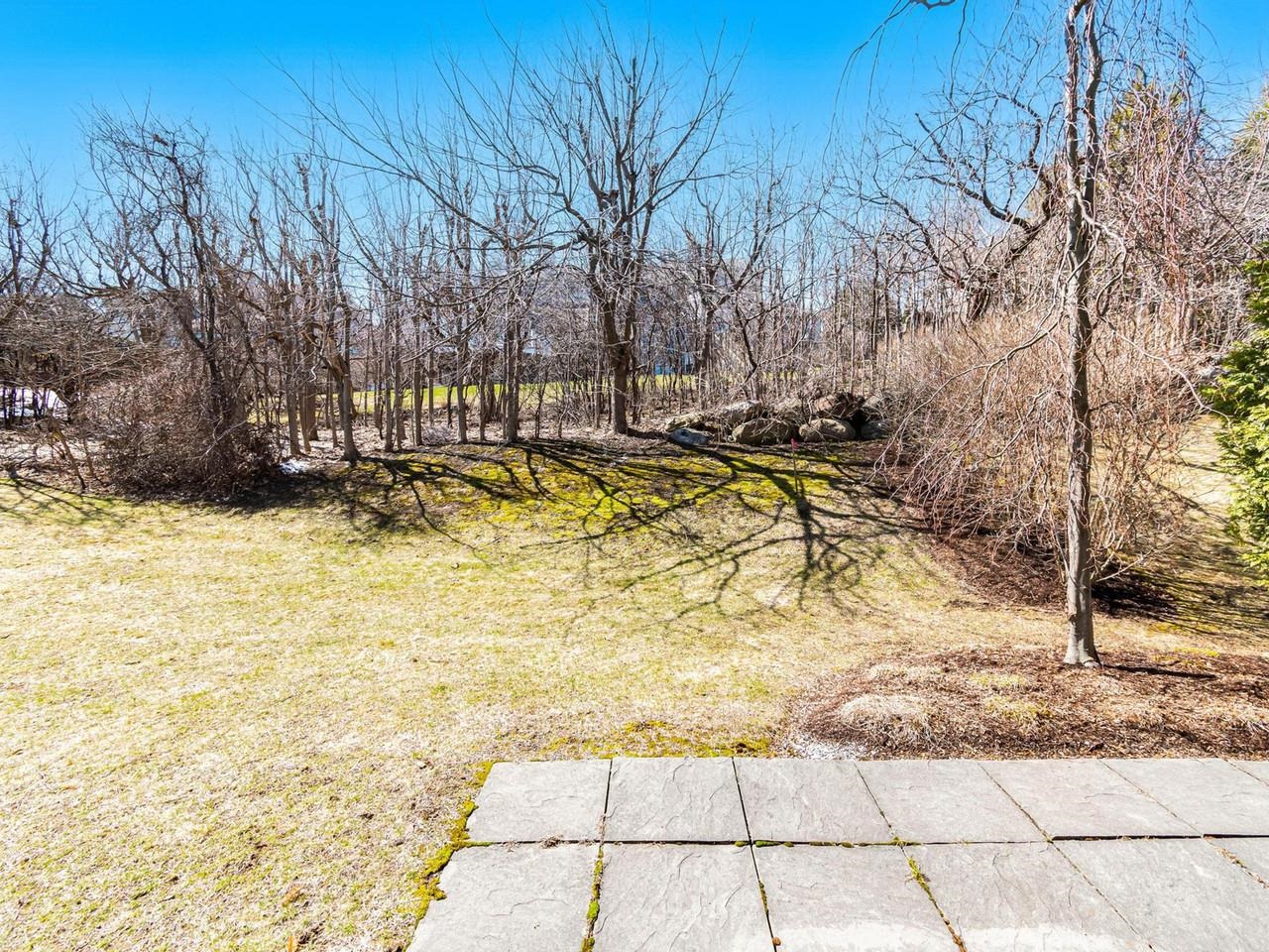 213 Park Road South Burlington, VT 05403 - Photo 6 of 53