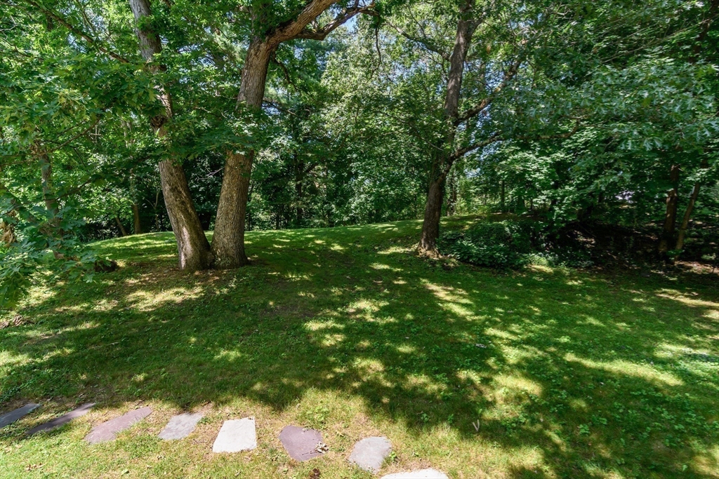 78 Lorraine Road Westwood, MA 02090 - Photo 29 of 34