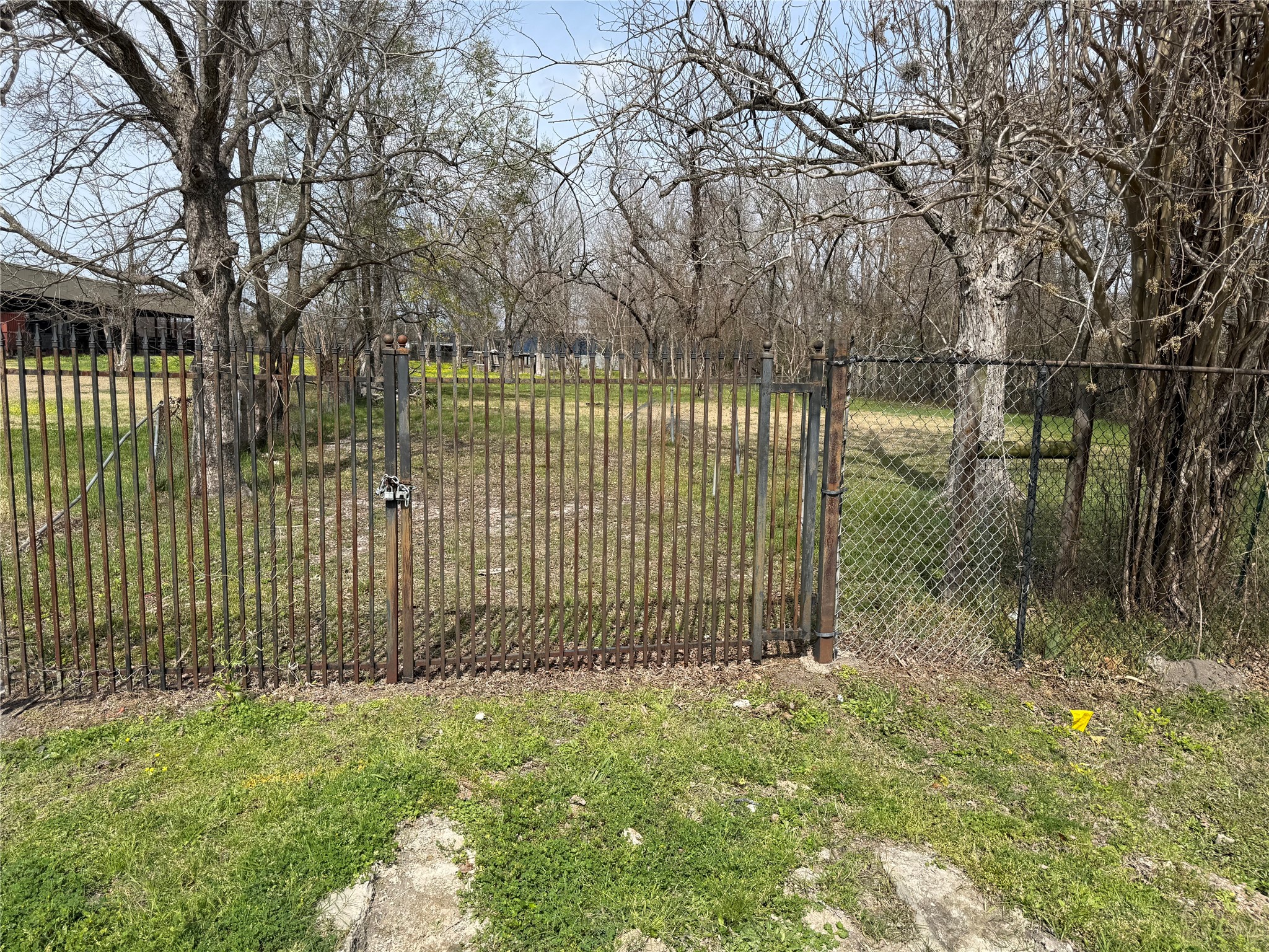 2523 Lone Oak Road Houston, TX 77093 - Photo 11 of 11 a view of a backyard