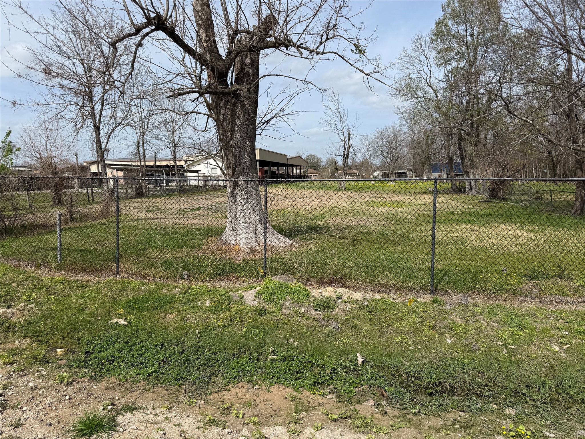 2523 Lone Oak Road Houston, TX 77093 - Photo 8 of 11 a view of backyard with green space