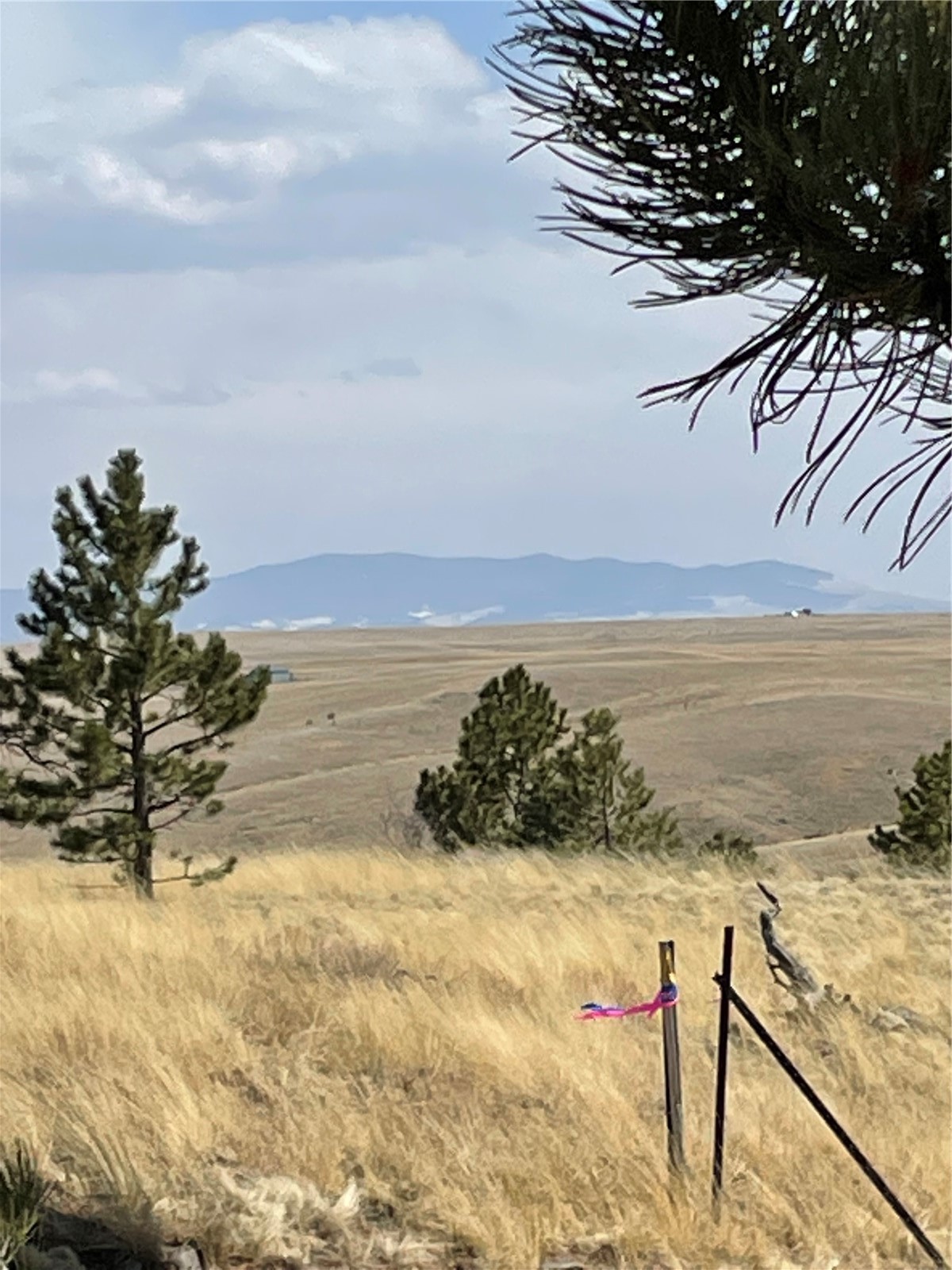 95 Powder Way Como, CO 80432 - Photo 2 of 6 Gallery Image 2