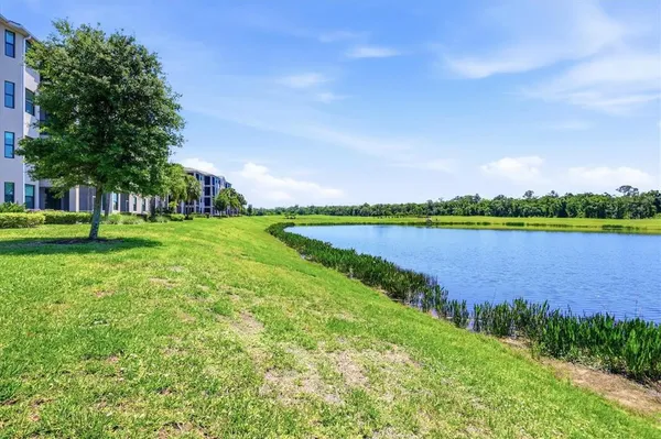 a view of a lake with houses in the back