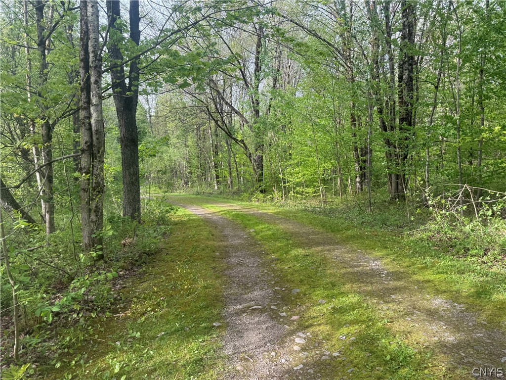 Lot #9 Lost Ridge Road, Unit 9 Camden, NY 13316 - Photo 7 of 27