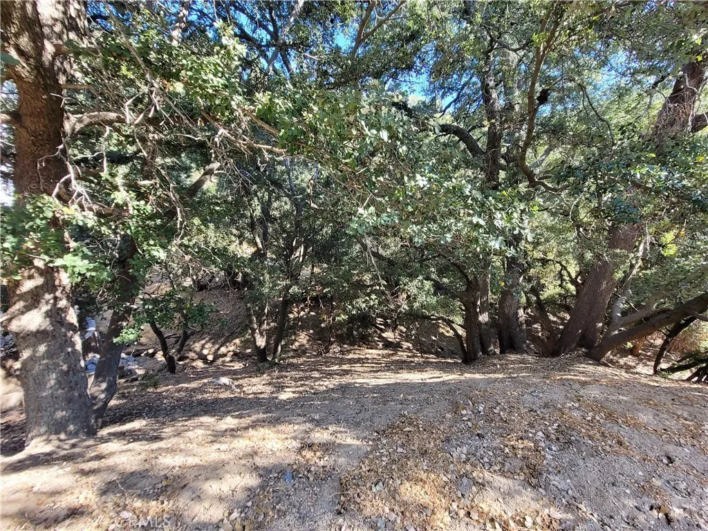 0 Berne Crestline, CA 92325 - Photo 8 of 10 a view of outdoor space with trees