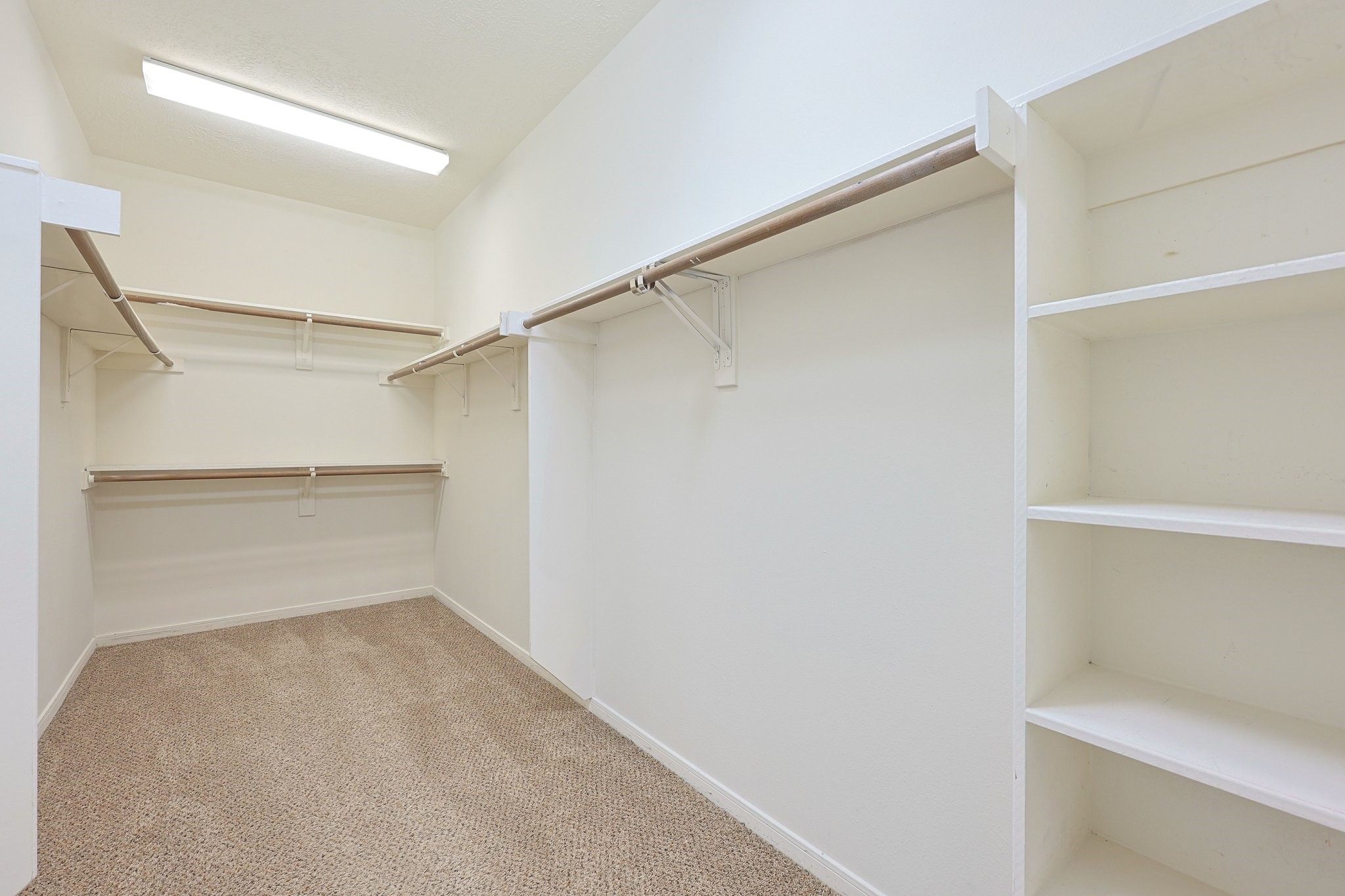 23019 Eastgate Village Drive Spring, TX 77373 - Photo 25 of 46 Primary is a spacious walk-in closet with multiple hanging rods and built-in shelves, featuring carpeted flooring and bright overhead lighting.
