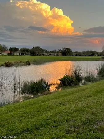 a view of a lake from a yard