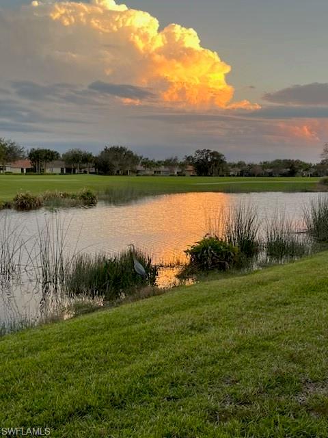 Spectacular Sunrises!!