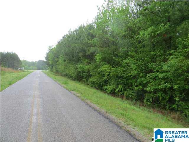 0 Jackson Trace Road, Unit 162ACRES Lincoln, AL 35096 - Photo 3 of 8 Gallery Image 3