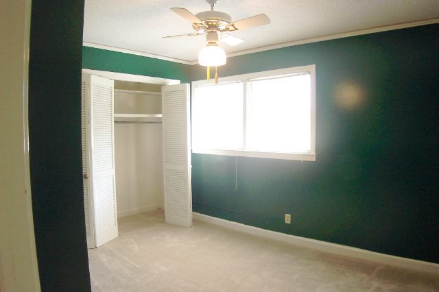 118 Holly Road Taylors, SC 29687 - Photo 14 of 21 Gallery Image 14