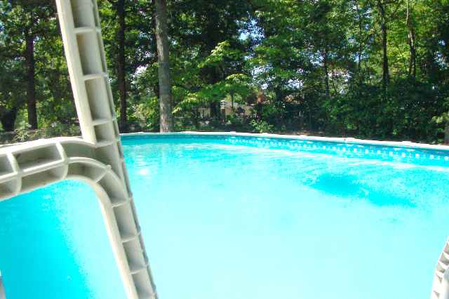 118 Holly Road Taylors, SC 29687 - Photo 21 of 21 Gallery Image 21
