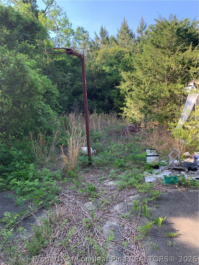 2661 Wingate Road Fayetteville, NC 28306 - Photo 10 of 13 a backyard of a house with lots of green space
