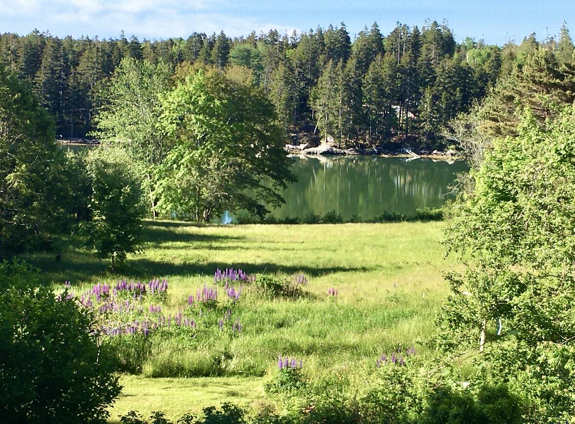 104 South Deer Isle Road Deer Isle, ME 04627 - Photo 66 of 66 IMG_9077