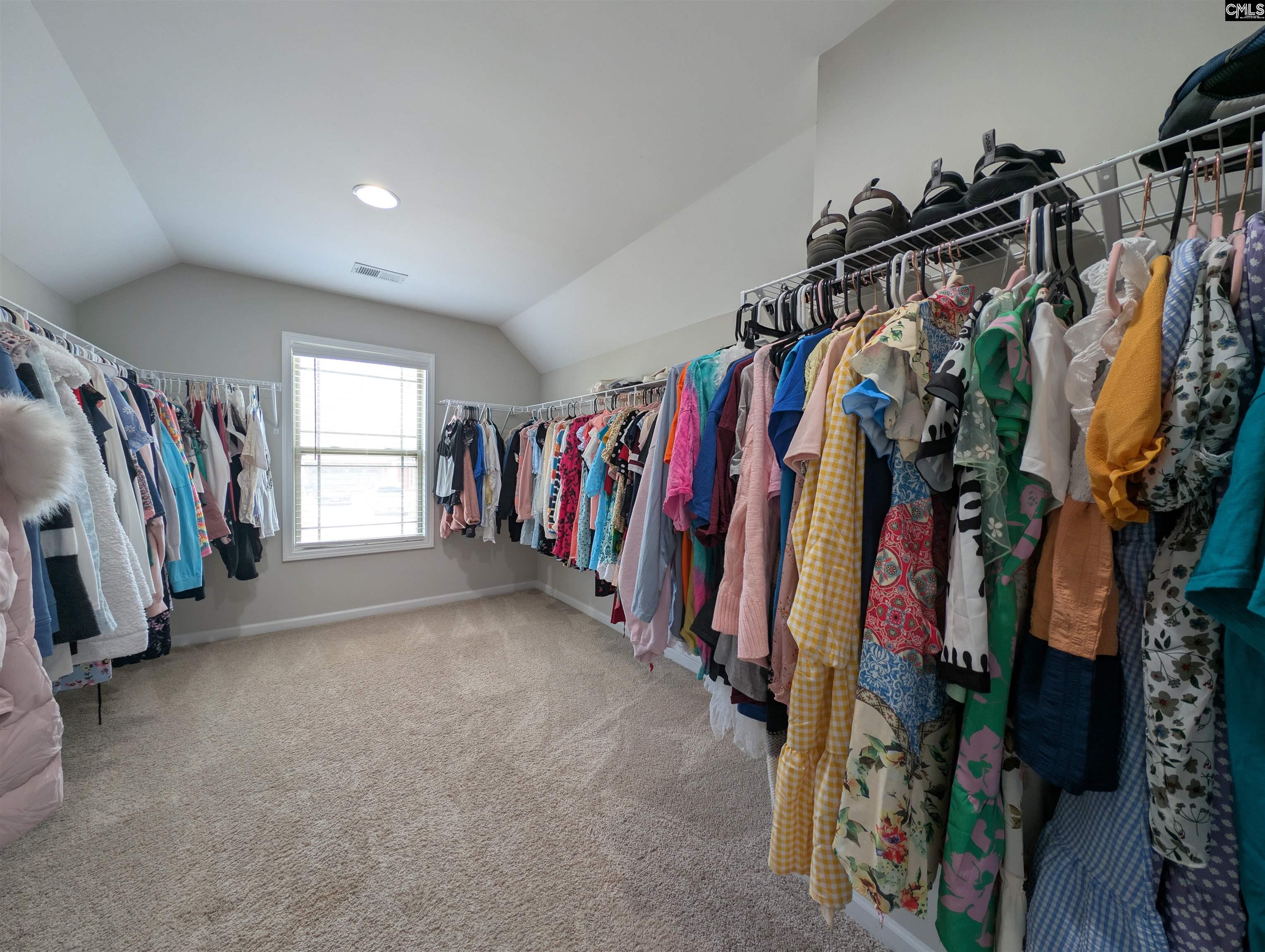 105 Tall Pines Road Chapin, SC 29036 - Photo 52 of 79