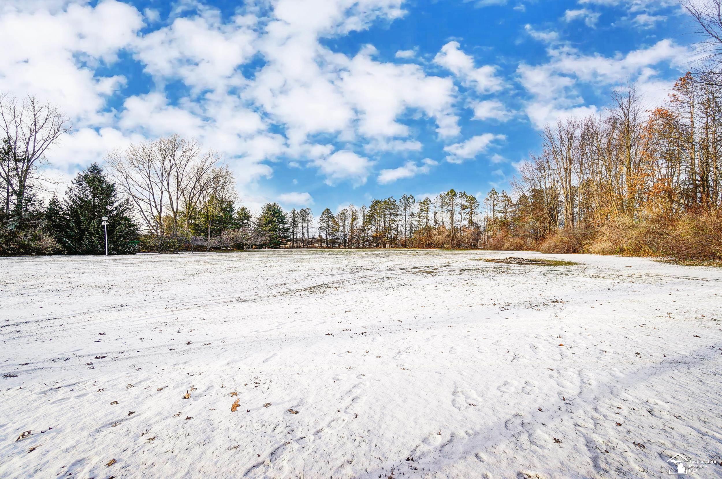 15620 West Dunbar Road Dundee, MI 48131 - Photo 56 of 59 50128838-ce016fea-1fb9-47c5-bf09-5aa0b6e05054.JPG
