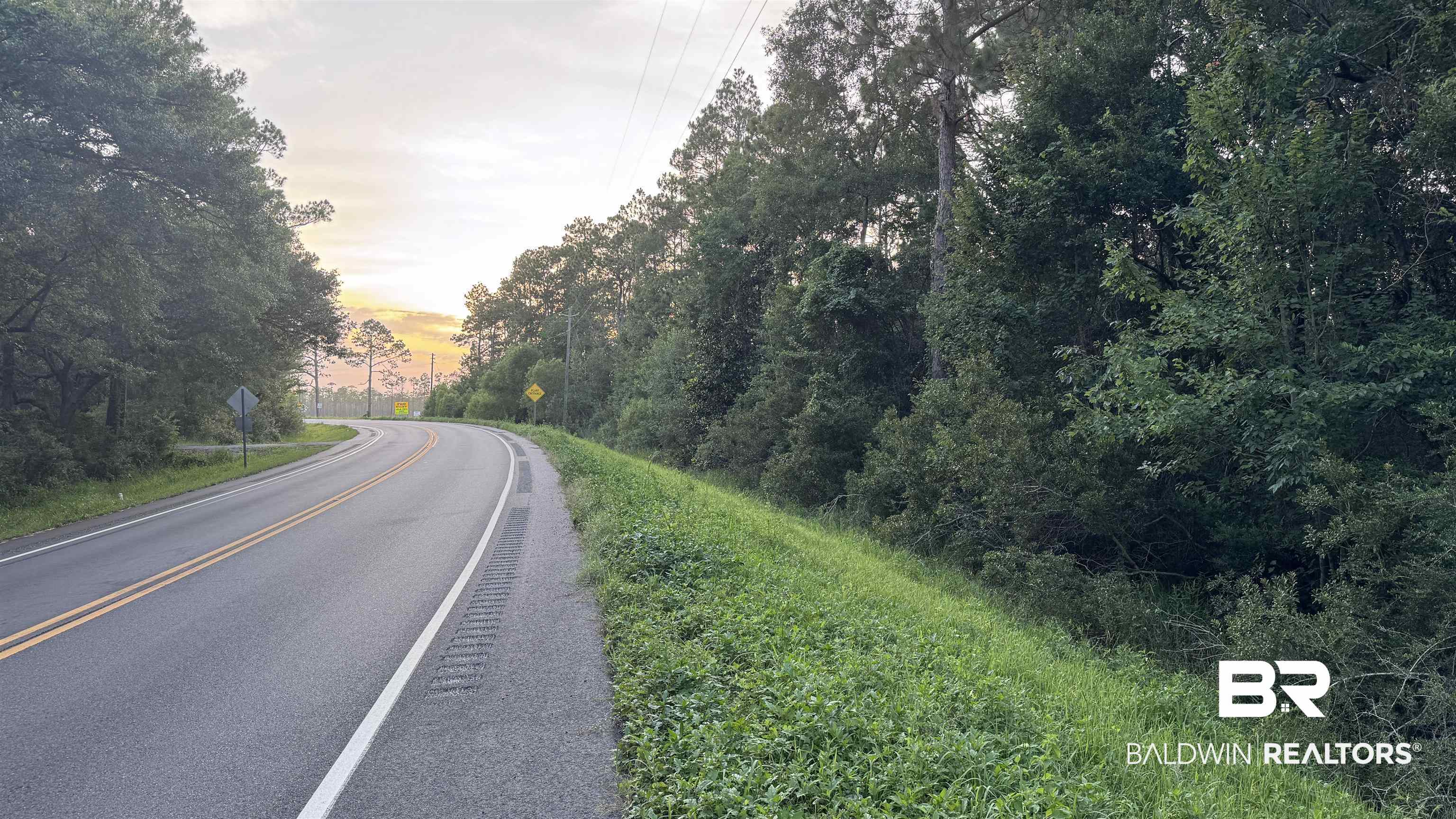 0 Highway 188 Coden, AL 36523 - Photo 3 of 37 Gallery Image 3