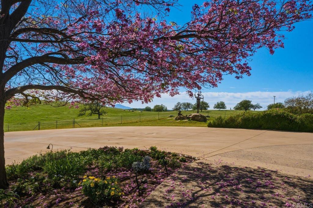 20655 Sutherland Dam Road Ramona, CA 92065 - Photo 16 of 73 a view of an outdoor space and a yard
