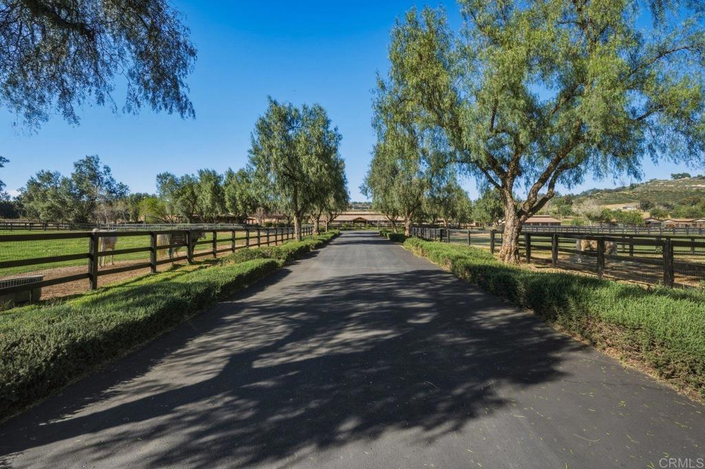 20655 Sutherland Dam Road Ramona, CA 92065 - Photo 43 of 73 a view of park with tree