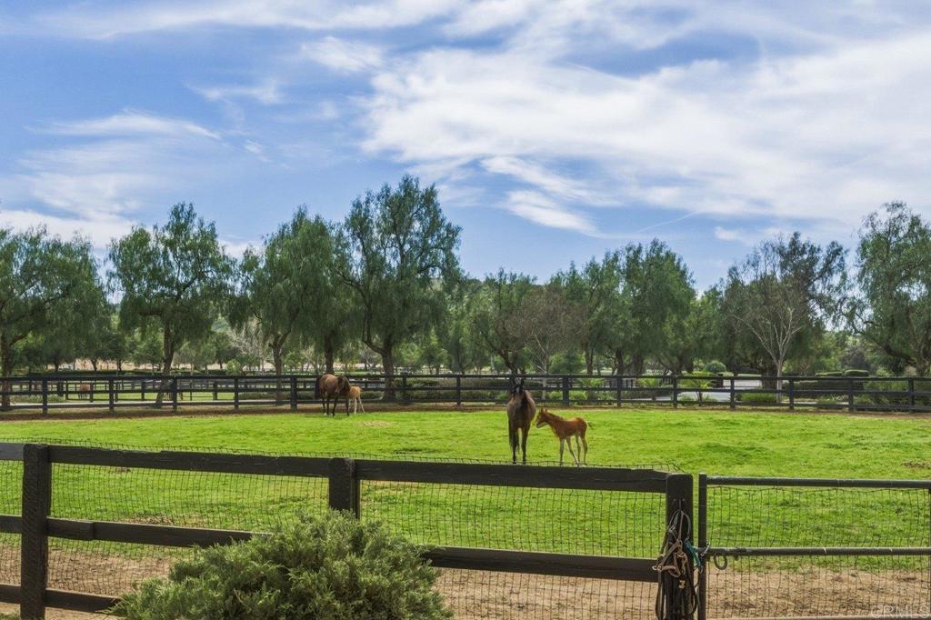 20655 Sutherland Dam Road Ramona, CA 92065 - Photo 58 of 73