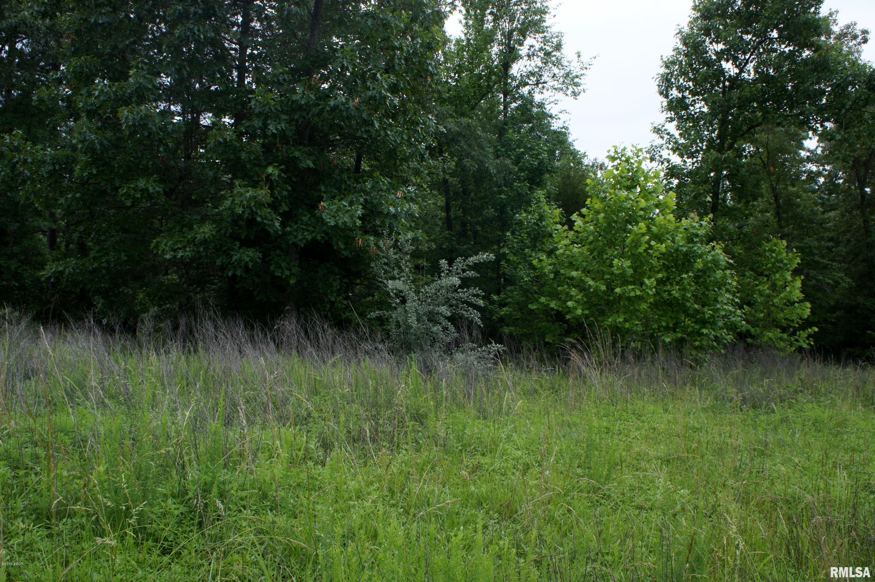 9182 Independence Road Brookport, IL 62910 - Photo 1 of 20