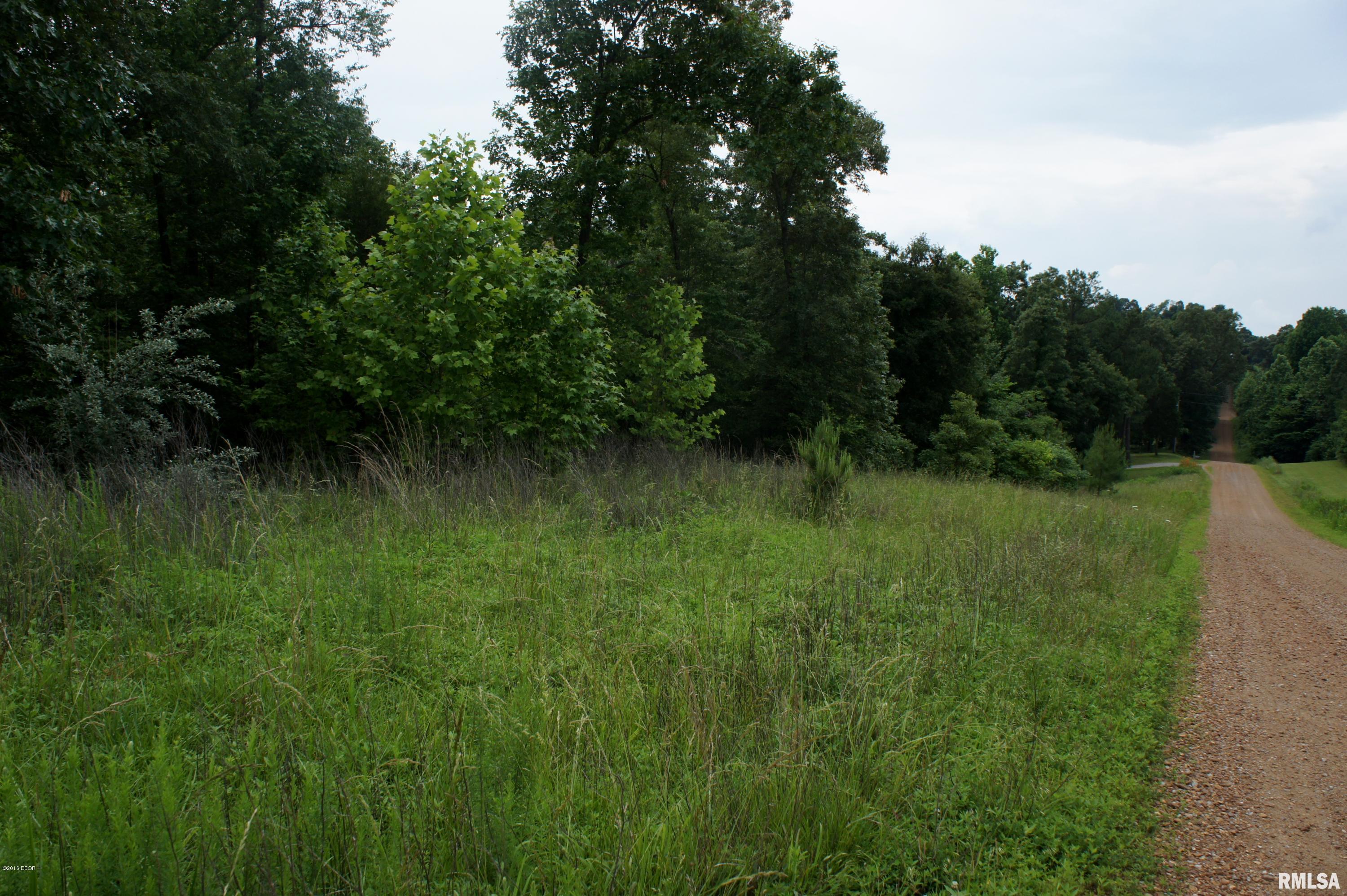 9182 Independence Road Brookport, IL 62910 - Photo 2 of 20