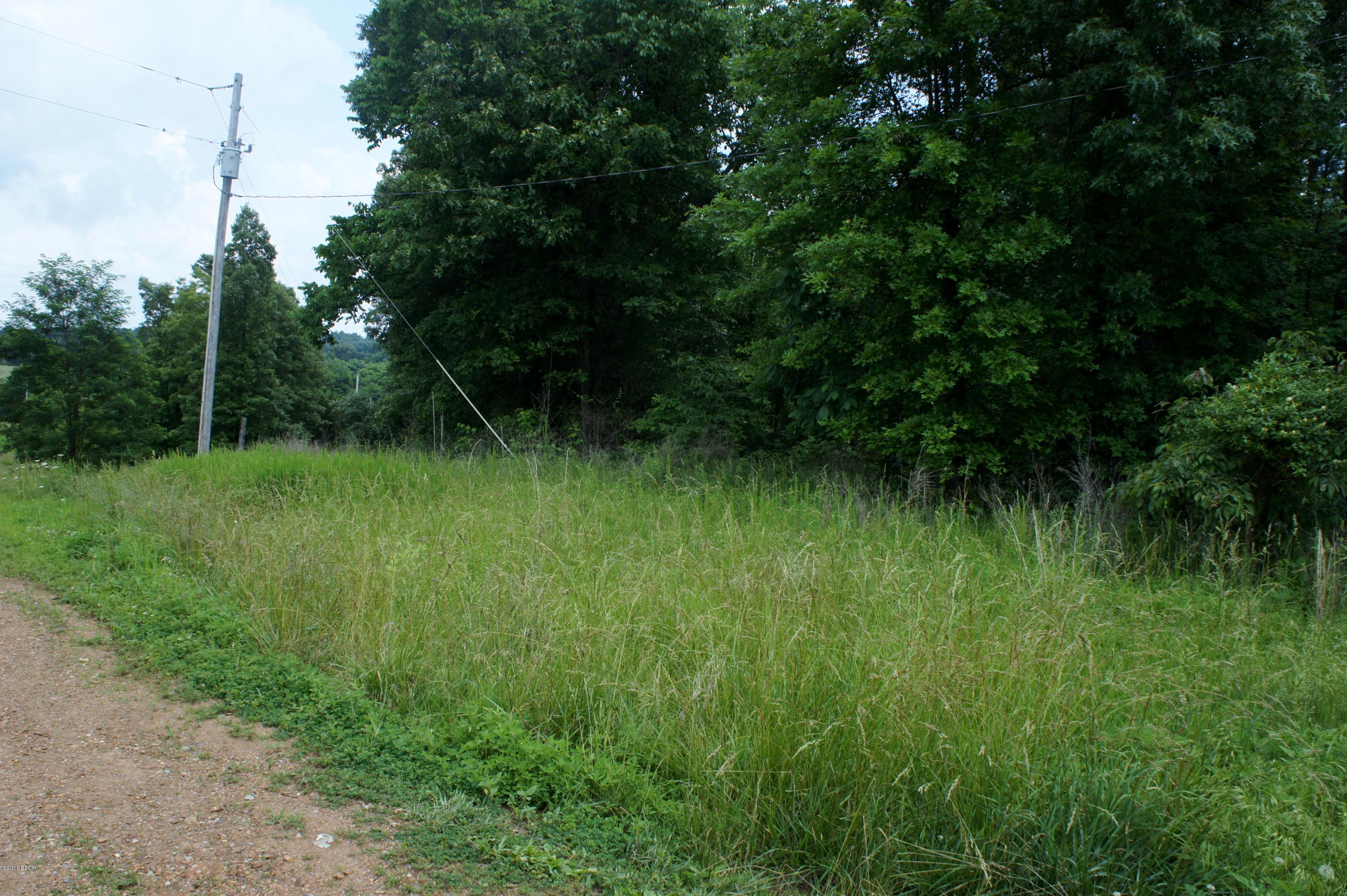9182 Independence Road Brookport, IL 62910 - Photo 3 of 20