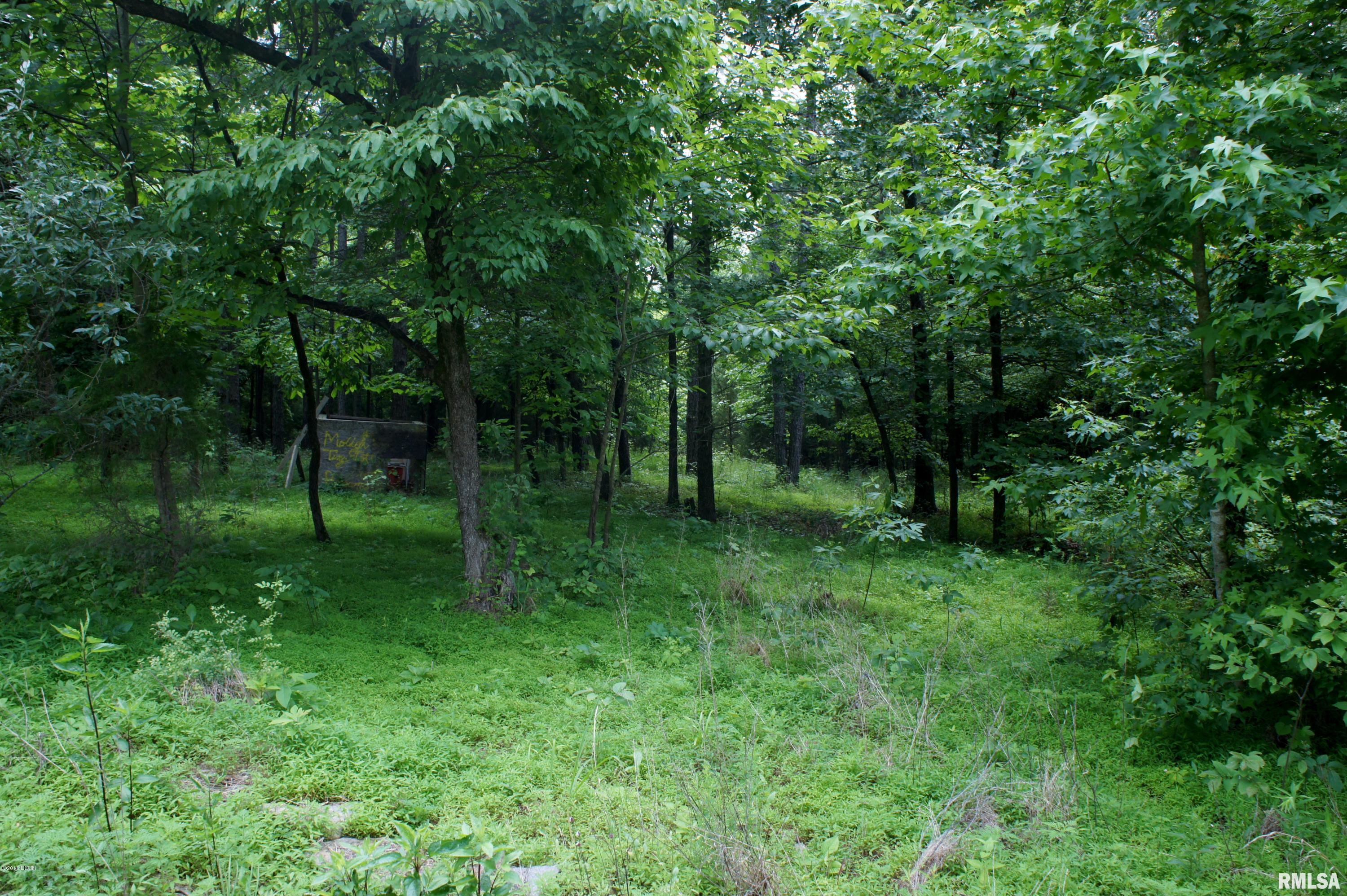 9182 Independence Road Brookport, IL 62910 - Photo 4 of 20