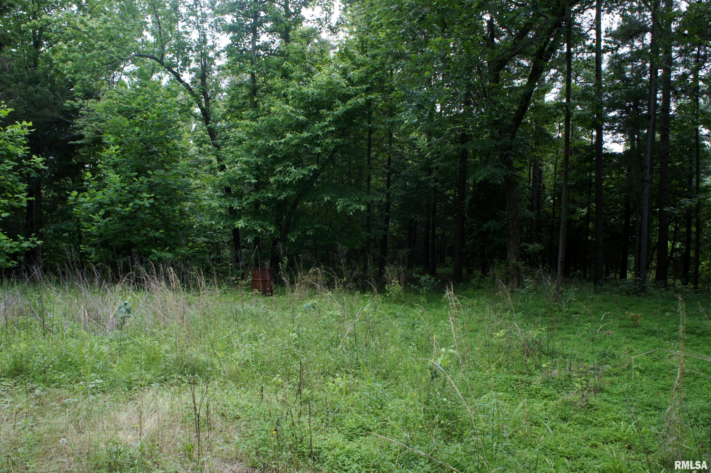 9182 Independence Road Brookport, IL 62910 - Photo 5 of 20