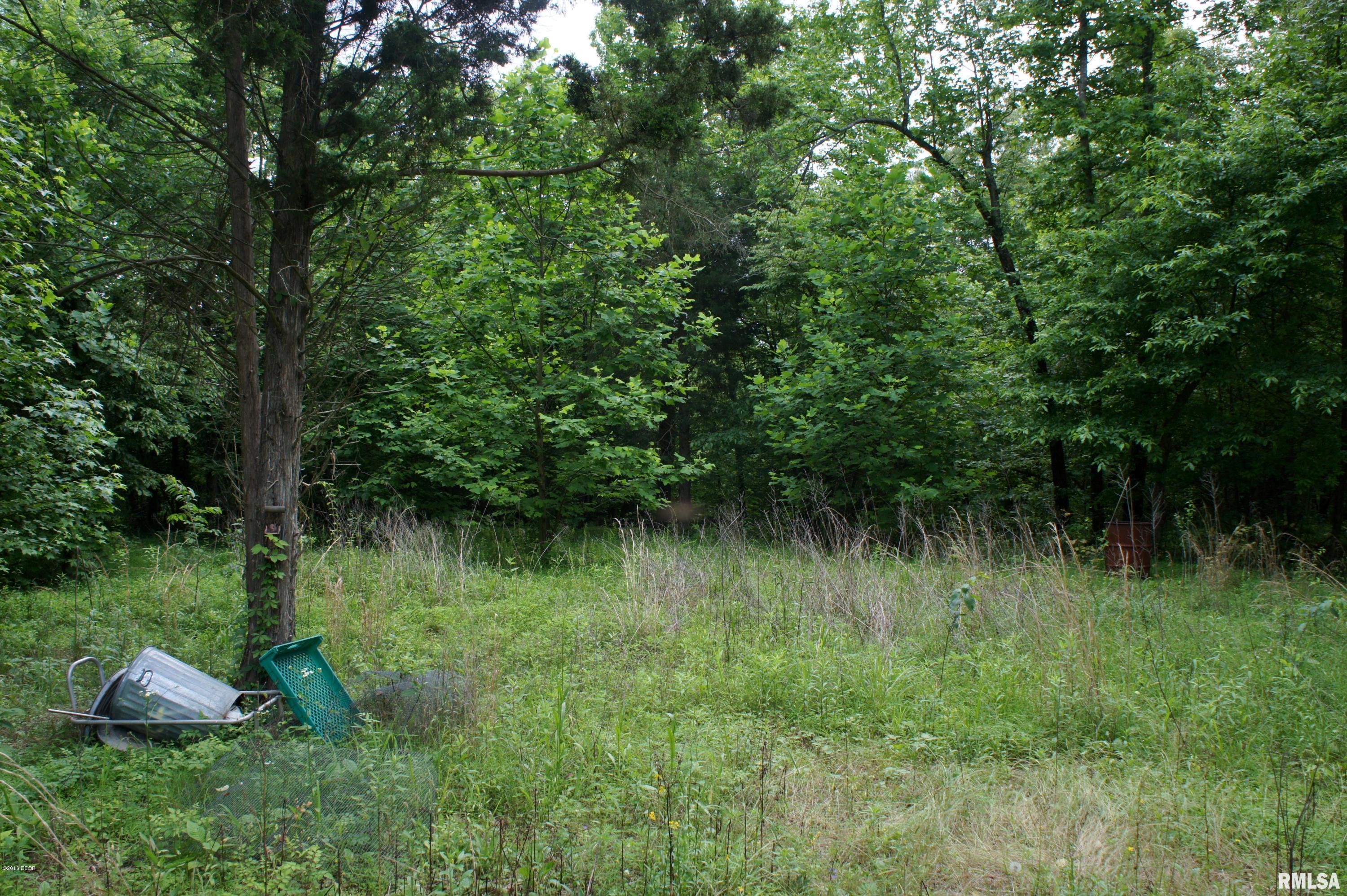 9182 Independence Road Brookport, IL 62910 - Photo 7 of 20