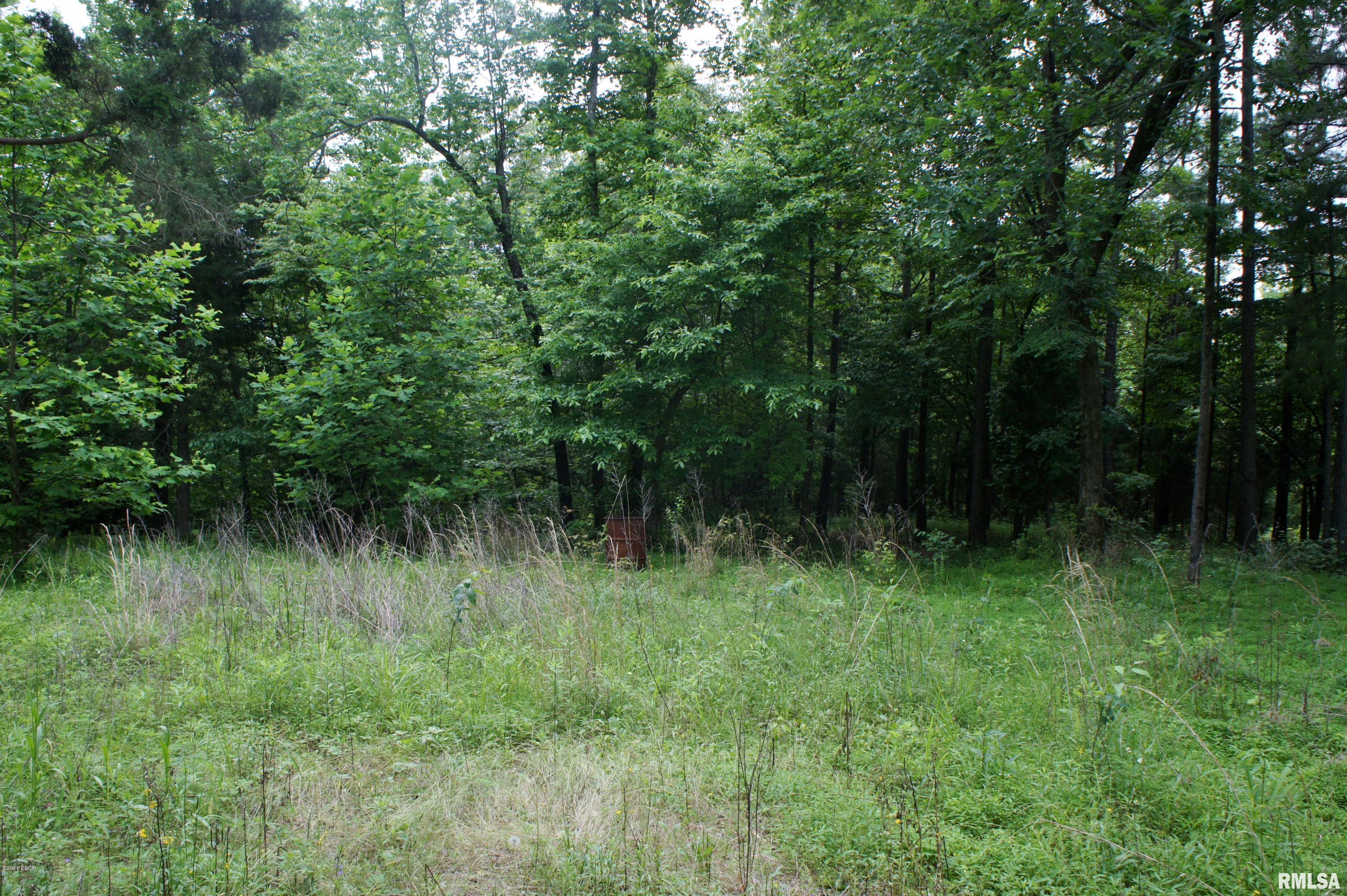 9182 Independence Road Brookport, IL 62910 - Photo 8 of 20