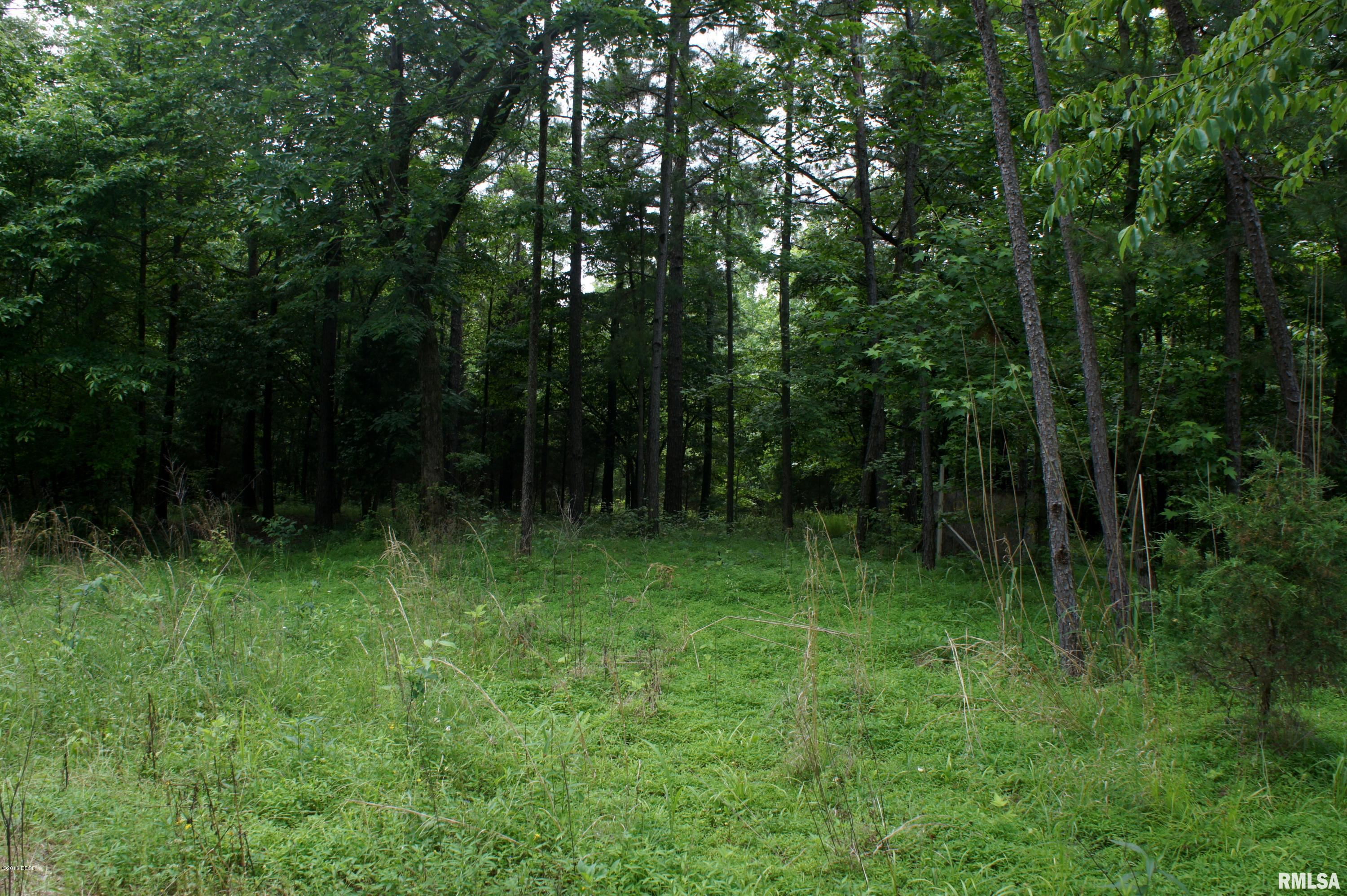9182 Independence Road Brookport, IL 62910 - Photo 9 of 20