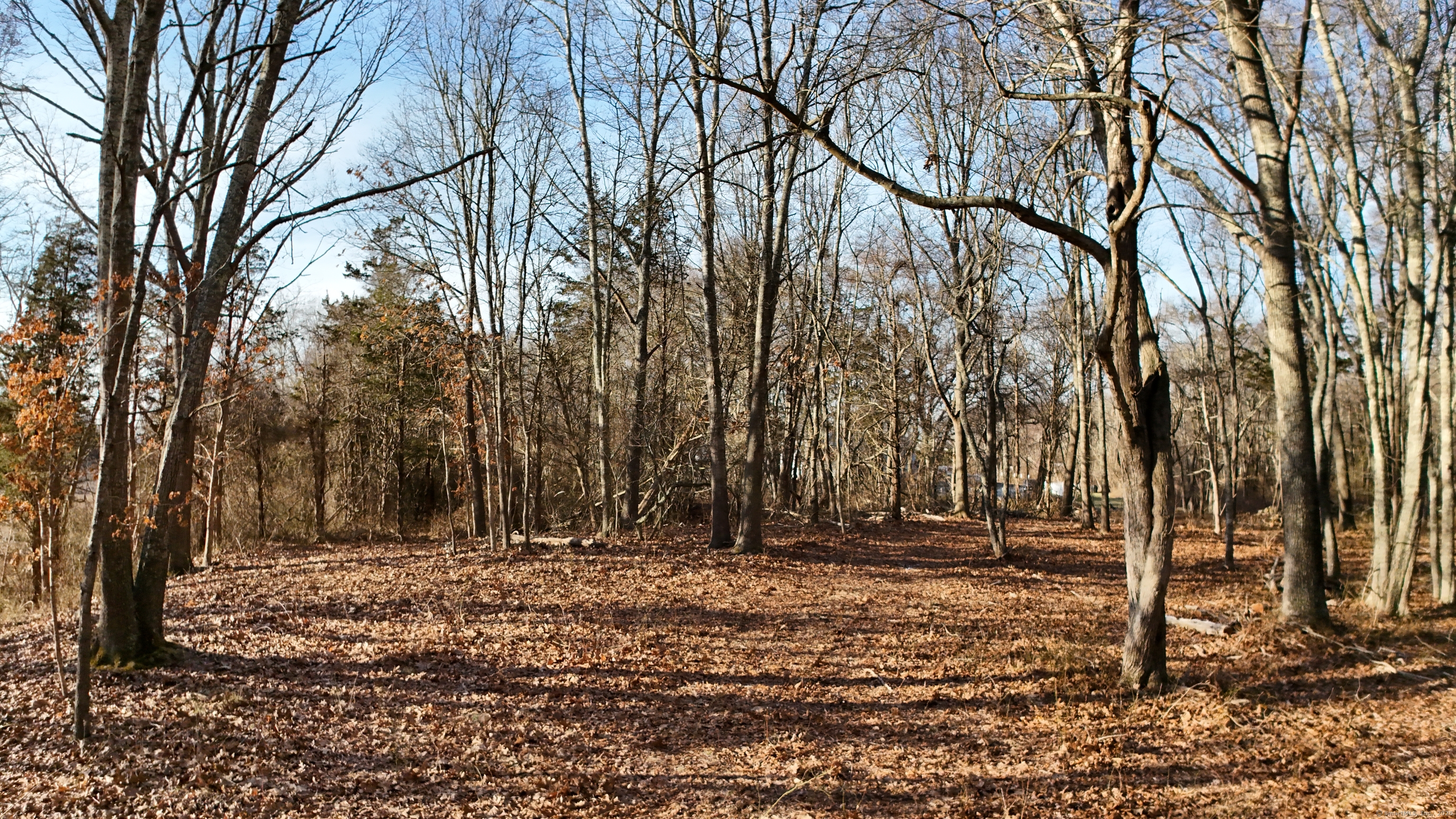 17 Old Stonington Road Stonington, CT 06378 - Photo 13 of 14