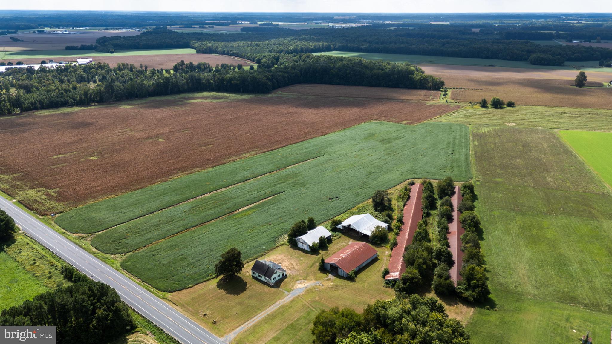 25699 Auction Road Federalsburg, MD 21632 - Photo 41 of 44 Gallery Image 41