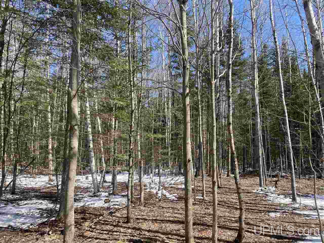 Tbd Bolo Road Marenisco, MI 49947 - Photo 11 of 14