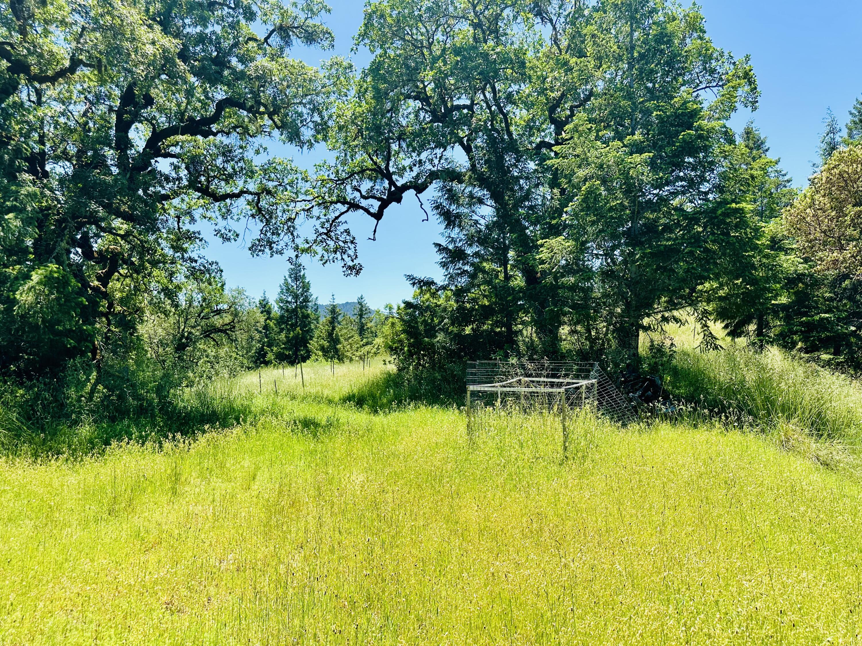 400 Seely Creek Road Redway, CA 95560 - Photo 51 of 73