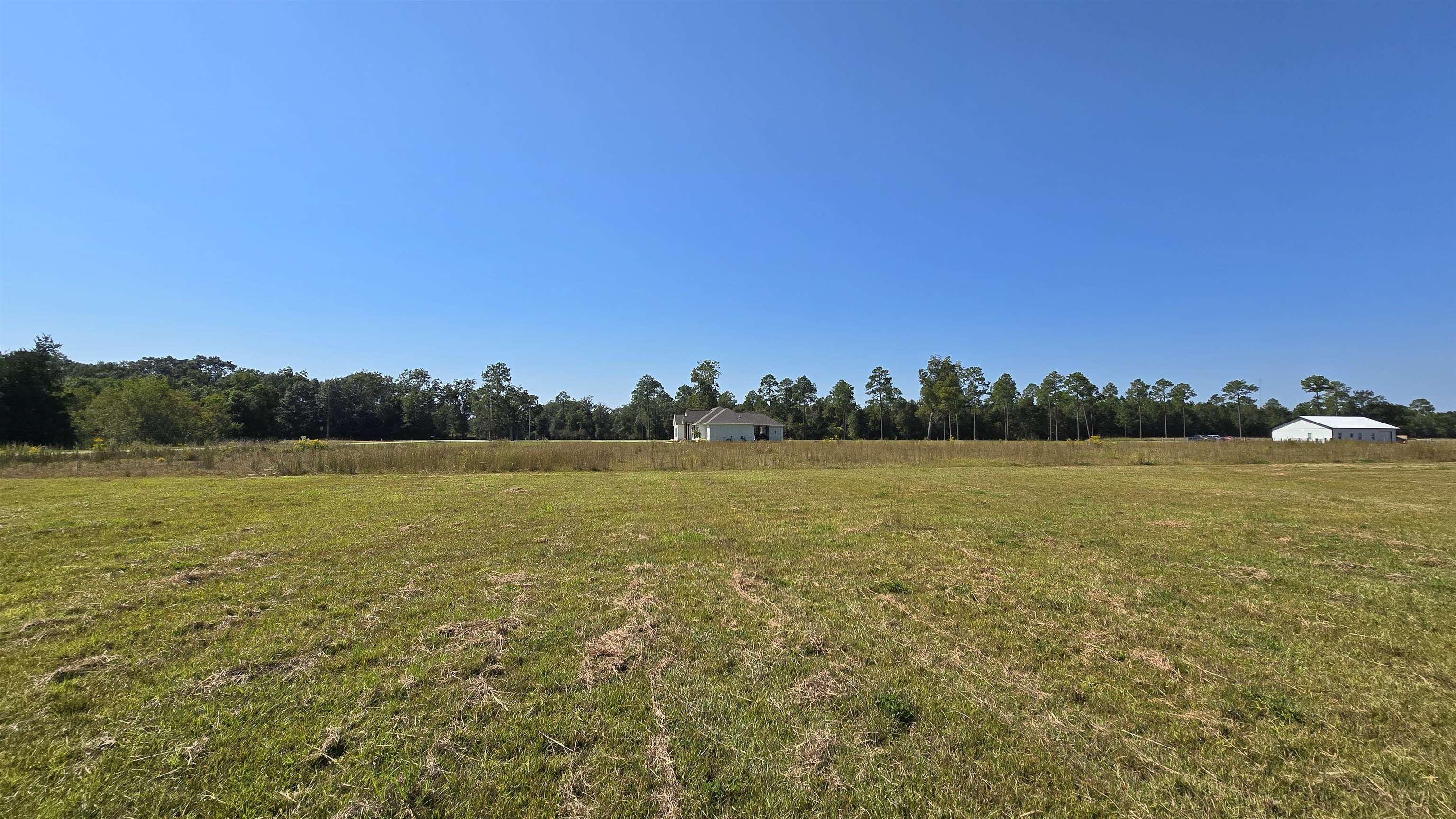 24863 Brewer Road Robertsdale, AL 36567 - Photo 8 of 9 Yard