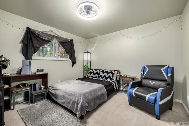 a view of a forest with a street